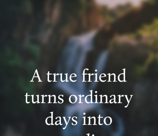 50 Heartwarming Positive Friendship Quotes to Celebrate Your True Friends